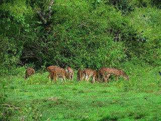 Photo of Wayanad 9/12 by Akriti Gupta
