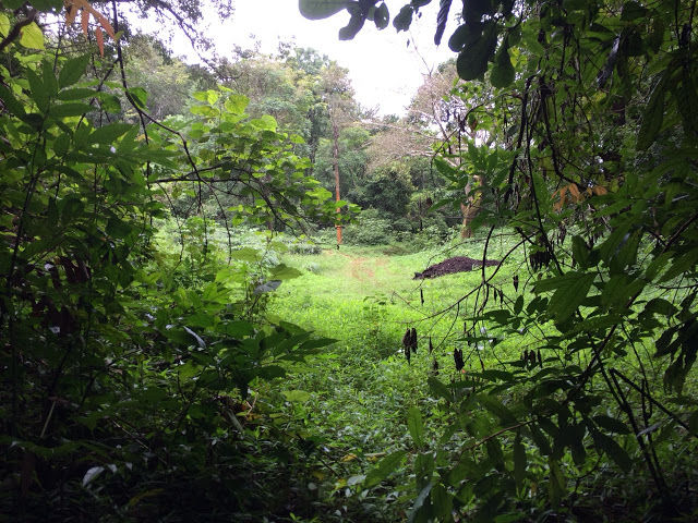 Photo of Wayanad 12/12 by Akriti Gupta