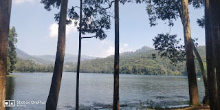 Photo of Munnar 11/13 by Akriti Gupta