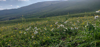 Photo of Buran Ghati Trek 7/11 by Akriti Gupta