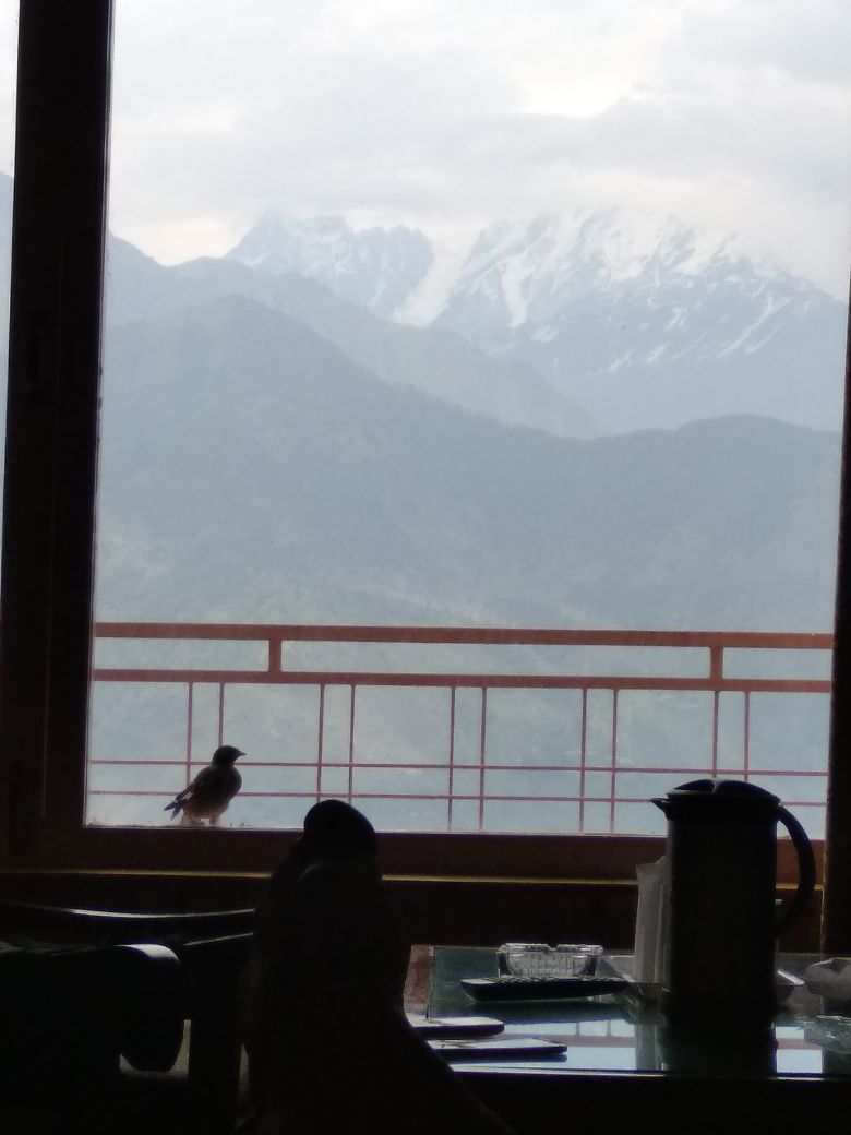Photo of A Glimpse to God's Vacation home from Khaliyan top (Munsiyari) by Aditya Jain
