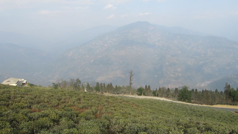Photo of A Trip to Sikkim: Losing your soul to the mountains. by Trisha Halder