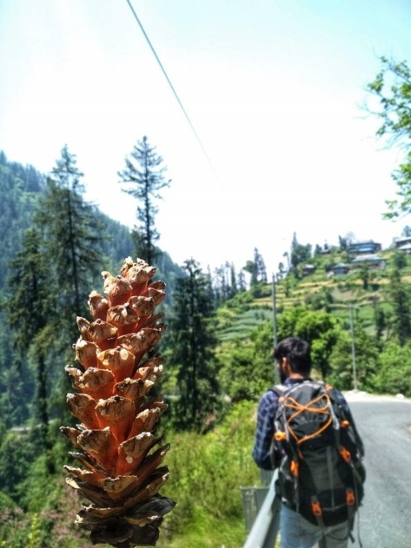 Photo of This summer travel show : Himachal Pradesh by Divya Nandan