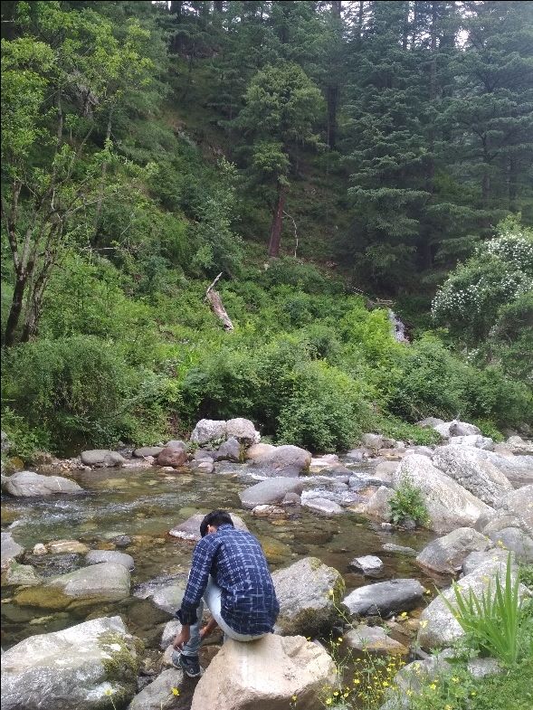 Photo of This summer travel show : Himachal Pradesh by Divya Nandan