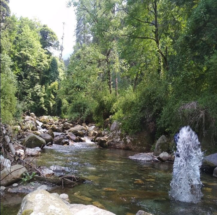 Photo of This summer travel show : Himachal Pradesh by Divya Nandan