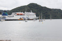 Photo of Picton, Marlborough, New Zealand by Richa Gupta