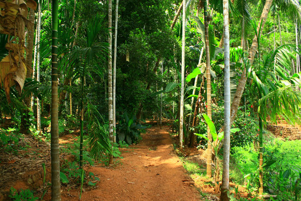 Photo of Offbeat Getaways in Goa by Richa Gupta