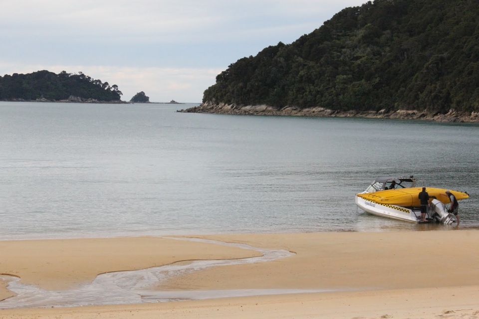 Photo of 10 Interesting Things To Do In New Zealand by Richa Gupta