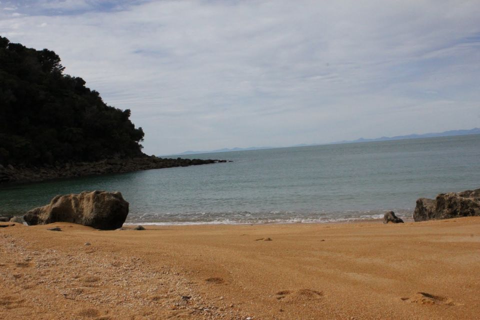 Photo of 10 Interesting Things To Do In New Zealand by Richa Gupta