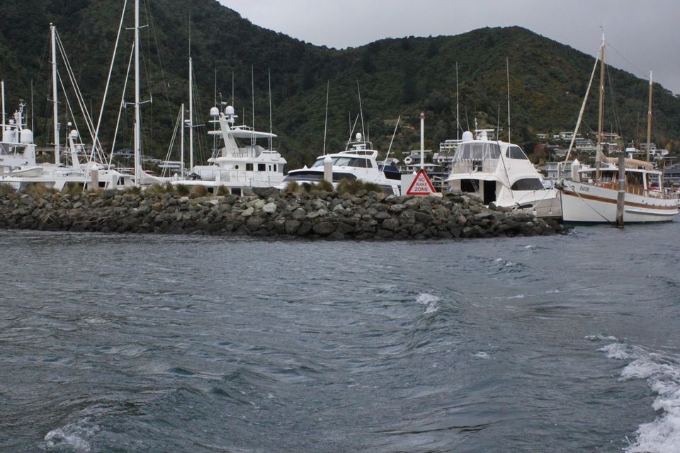 Photo of 10 Interesting Things To Do In New Zealand by Richa Gupta