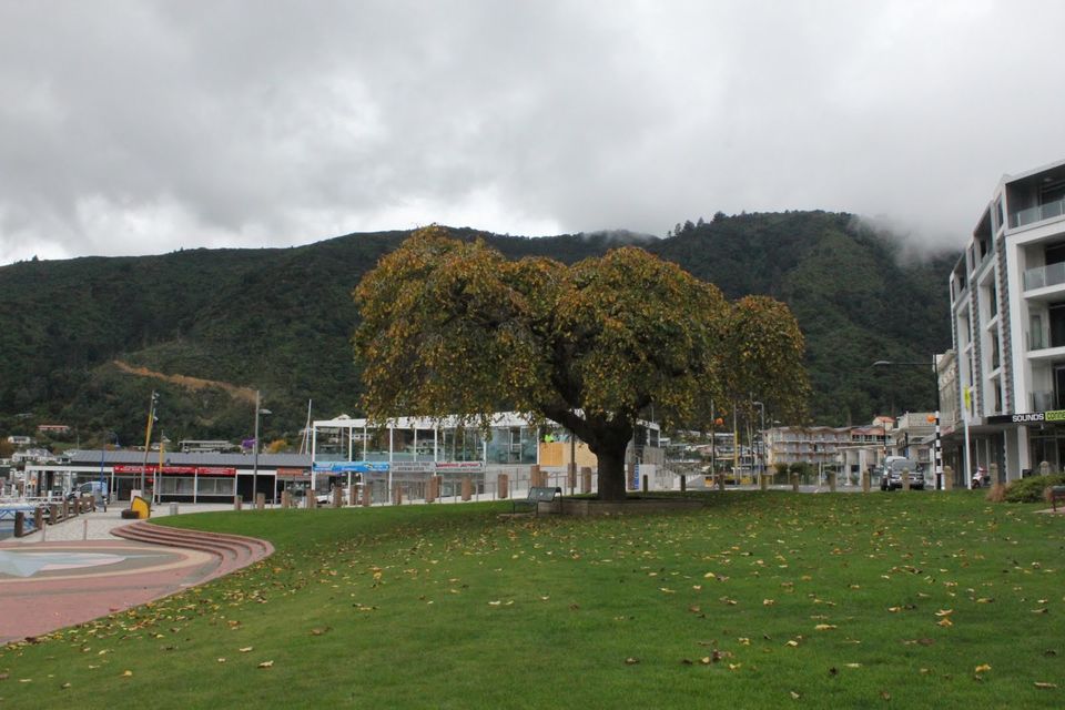 Photo of 10 Interesting Things To Do In New Zealand by Richa Gupta