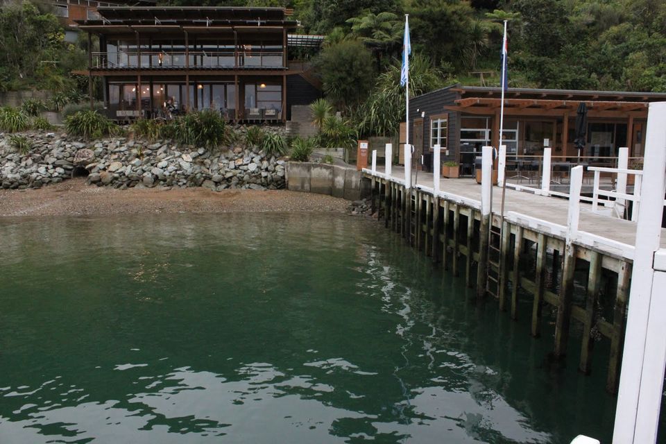 Photo of 10 Interesting Things To Do In New Zealand by Richa Gupta