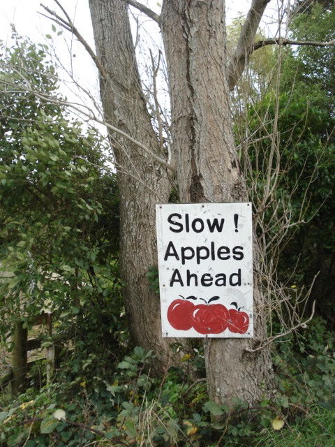 Photo of 10 Interesting Things To Do In New Zealand by Richa Gupta