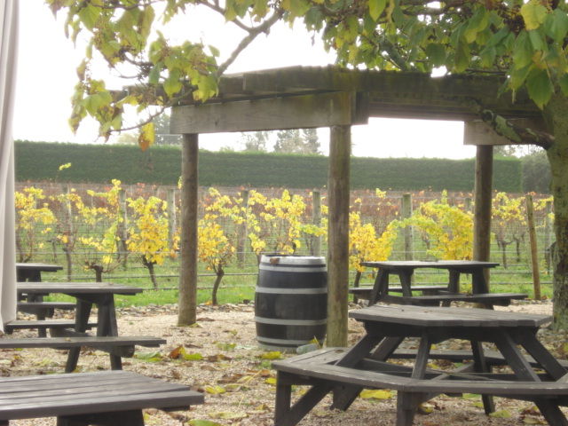 Photo of 10 Interesting Things To Do In New Zealand by Richa Gupta