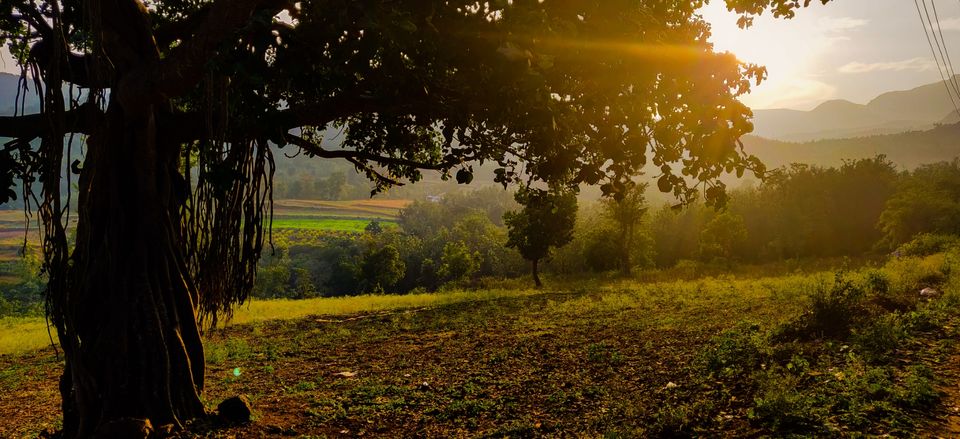 Photo of Halli Berri Coffee & Cottages, Athigiri, Karnataka, India by Sharayu Ballewar