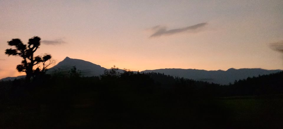Photo of Halli Berri Coffee & Cottages, Athigiri, Karnataka, India by Sharayu Ballewar