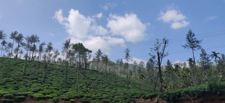 Photo of Agumbe, Karnataka, India by Sharayu Ballewar
