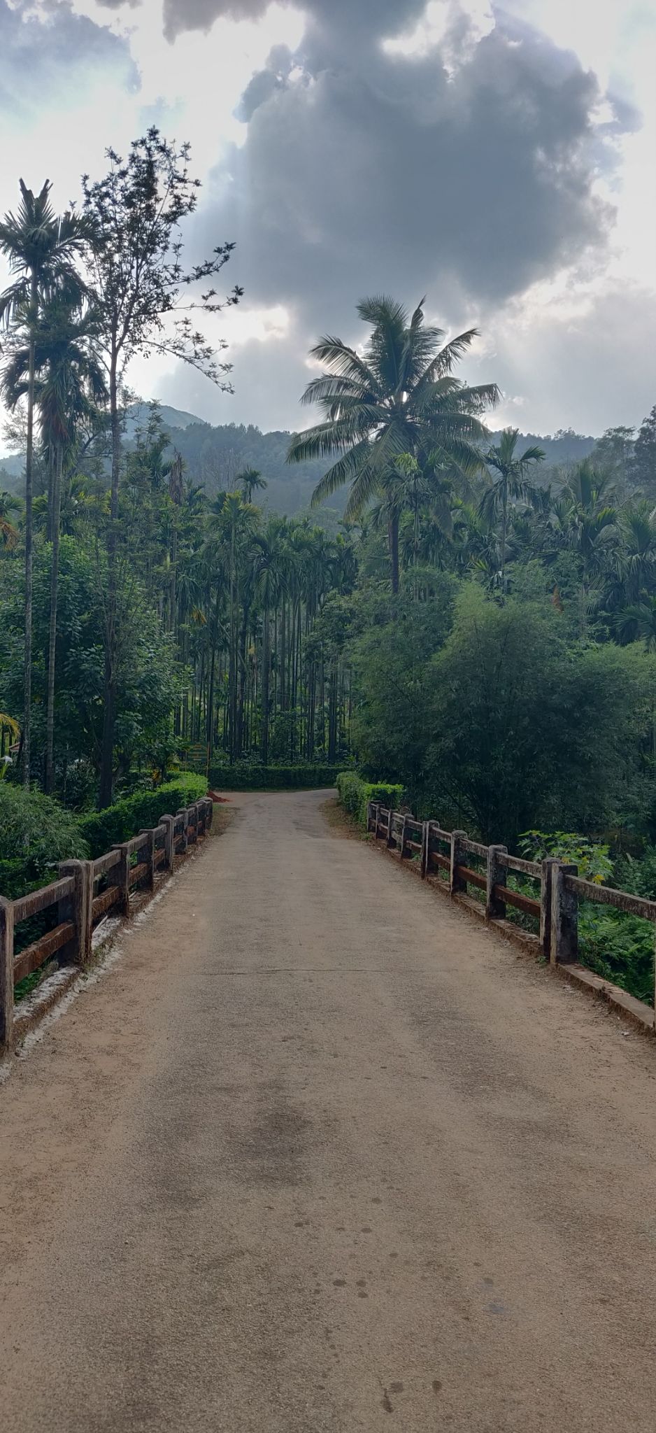 Photo of Agumbe, Karnataka, India by Sharayu Ballewar
