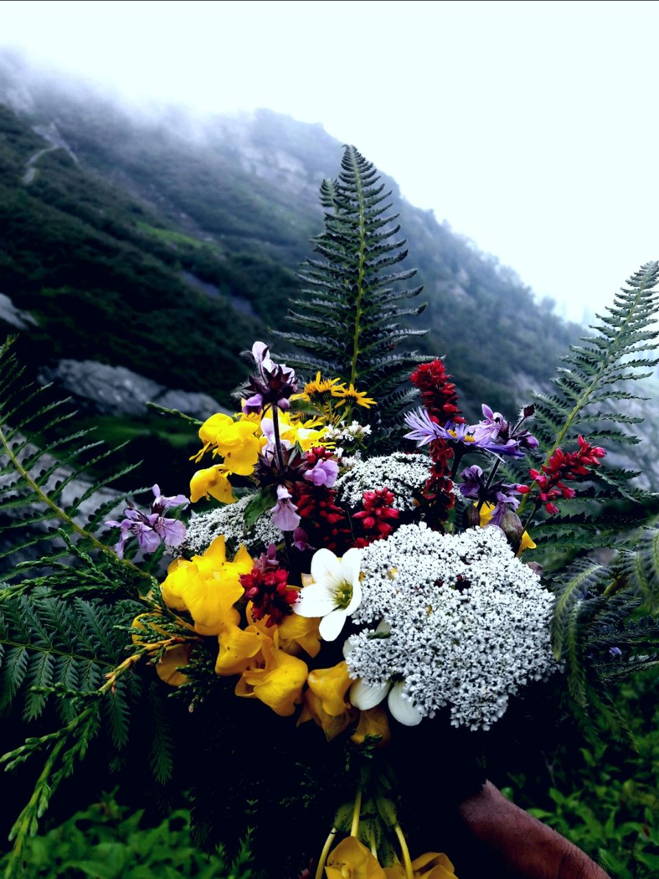 Photo of Manimahesh trek by Sukesh Kumar