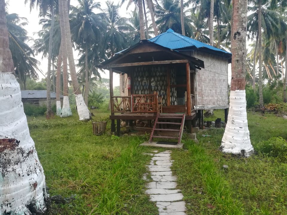 Photo of Best Scuba Diving in Andaman India-Scubalov.in Dive Resort, Govind Nagar, Havelock Island, Andaman and Nicobar Islands, India by Vimudha Muralidharan