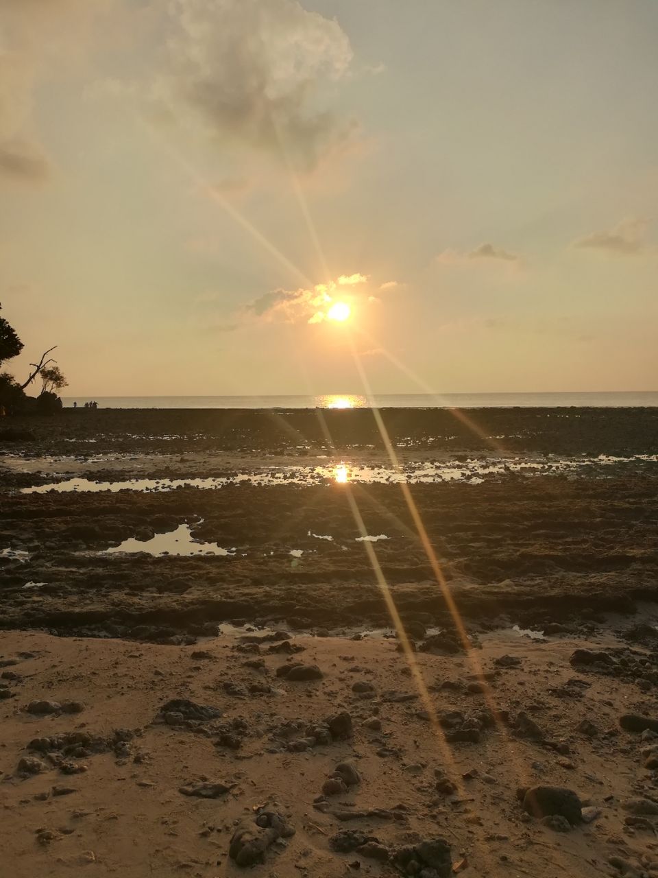 Photo of Neil Island, Andaman and Nicobar Islands by Vimudha Muralidharan