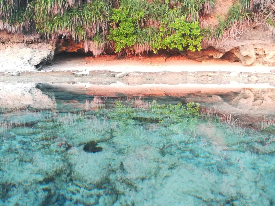Photo of Neil Island, Andaman and Nicobar Islands by Vimudha Muralidharan