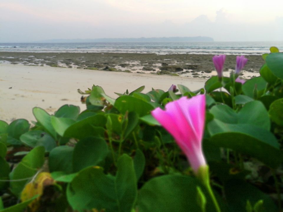Photo of Bharatpur Beach, Neil Island, Bharatpur, Andaman and Nicobar Islands, India by Vimudha Muralidharan