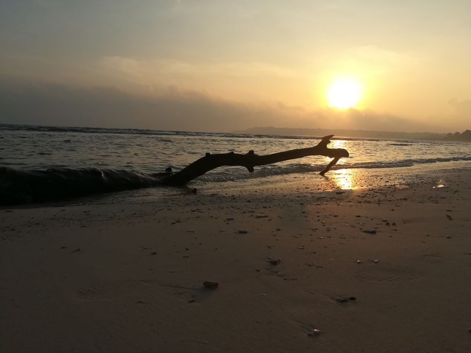 Photo of Bharatpur Beach, Neil Island, Bharatpur, Andaman and Nicobar Islands, India by Vimudha Muralidharan