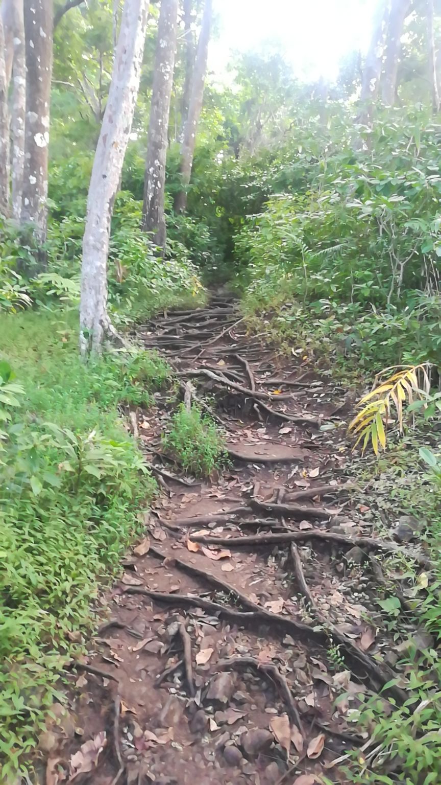 Photo of Munda Pahar Trek Point, Andaman and Nicobar Islands, India by Vimudha Muralidharan