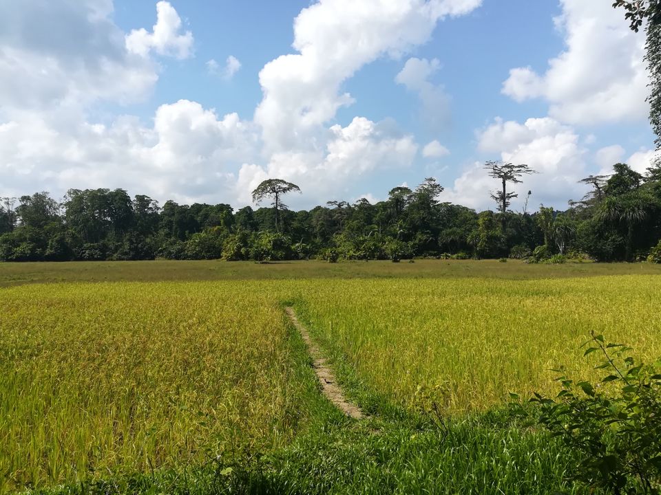 Photo of Baratang Island, Andaman and Nicobar Islands by Vimudha Muralidharan