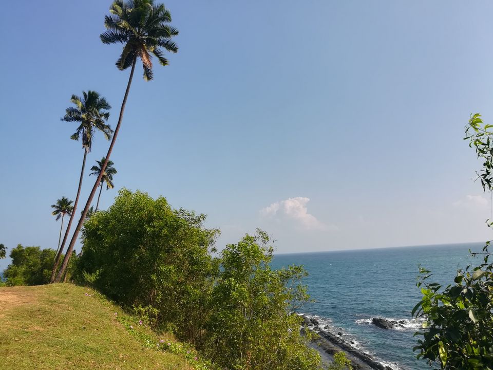 Photo of Chatham Saw Mill, Haddo, Port Blair, Andaman and Nicobar Islands, India by Vimudha Muralidharan