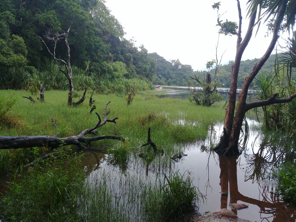 Photo of Wayanad, Kerala, India by Avinash gowda