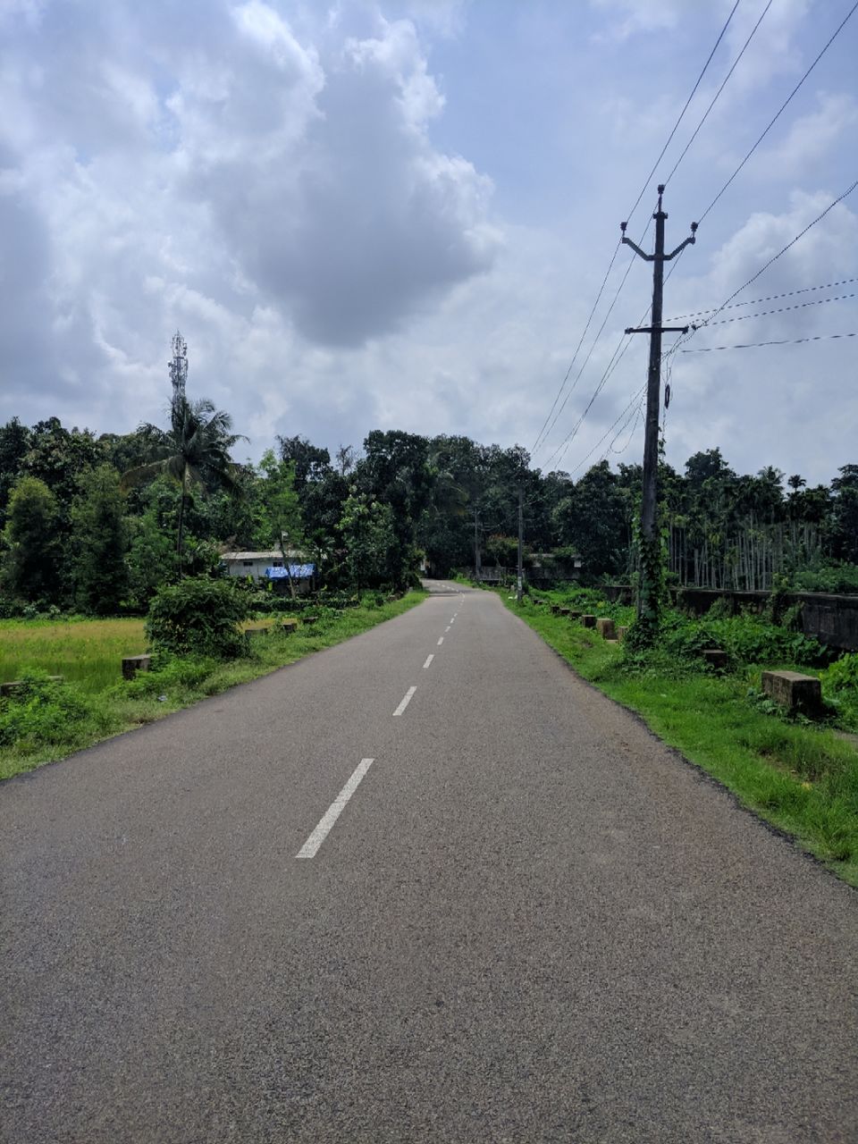 Photo of Wayanad, Kerala, India by Avinash gowda