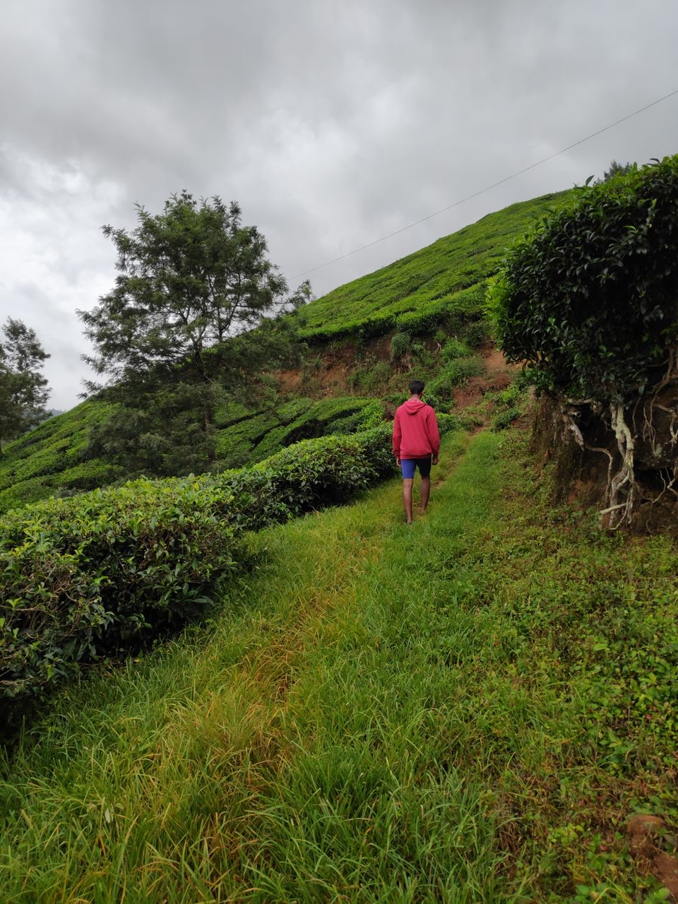 Photo of Wayanad, Kerala, India by Avinash gowda