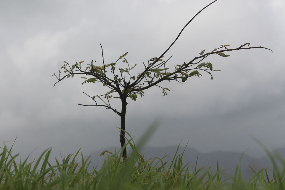 Photo of Irshalgad, Chouk, Maharashtra, India by Avinash gowda