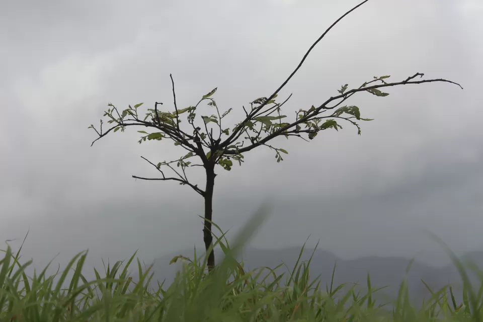 Photo of Irshalgad, Chouk, Maharashtra, India by Avinash gowda