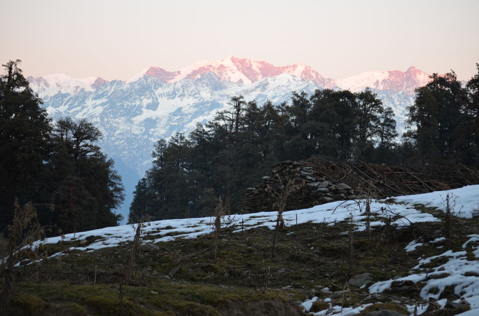 Photo of A Walk to Remember...Dayara Bugyal 5/12 by Sanghamitra Layek