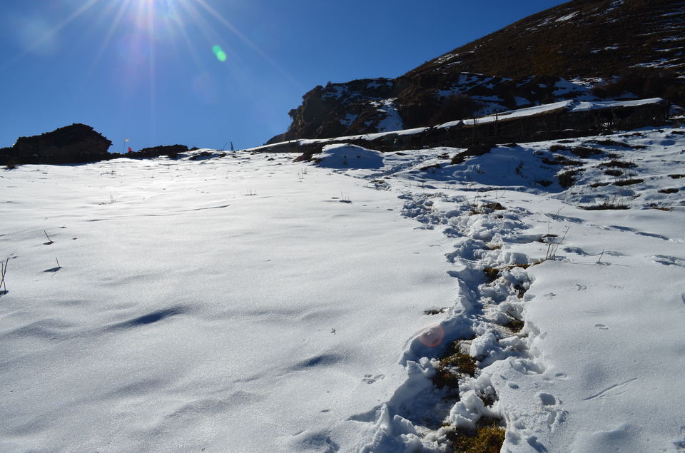 Photo of A Walk to Remember...Dayara Bugyal 11/12 by Sanghamitra Layek