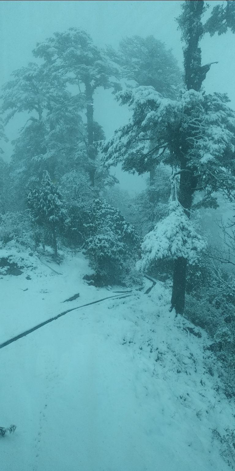 Photo of Taking the road less traveled: Bhutan by Akshay Shinde