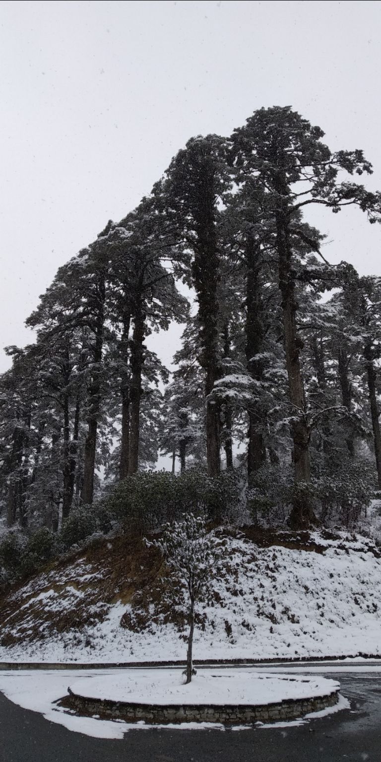 Photo of Taking the road less traveled: Bhutan by Akshay Shinde