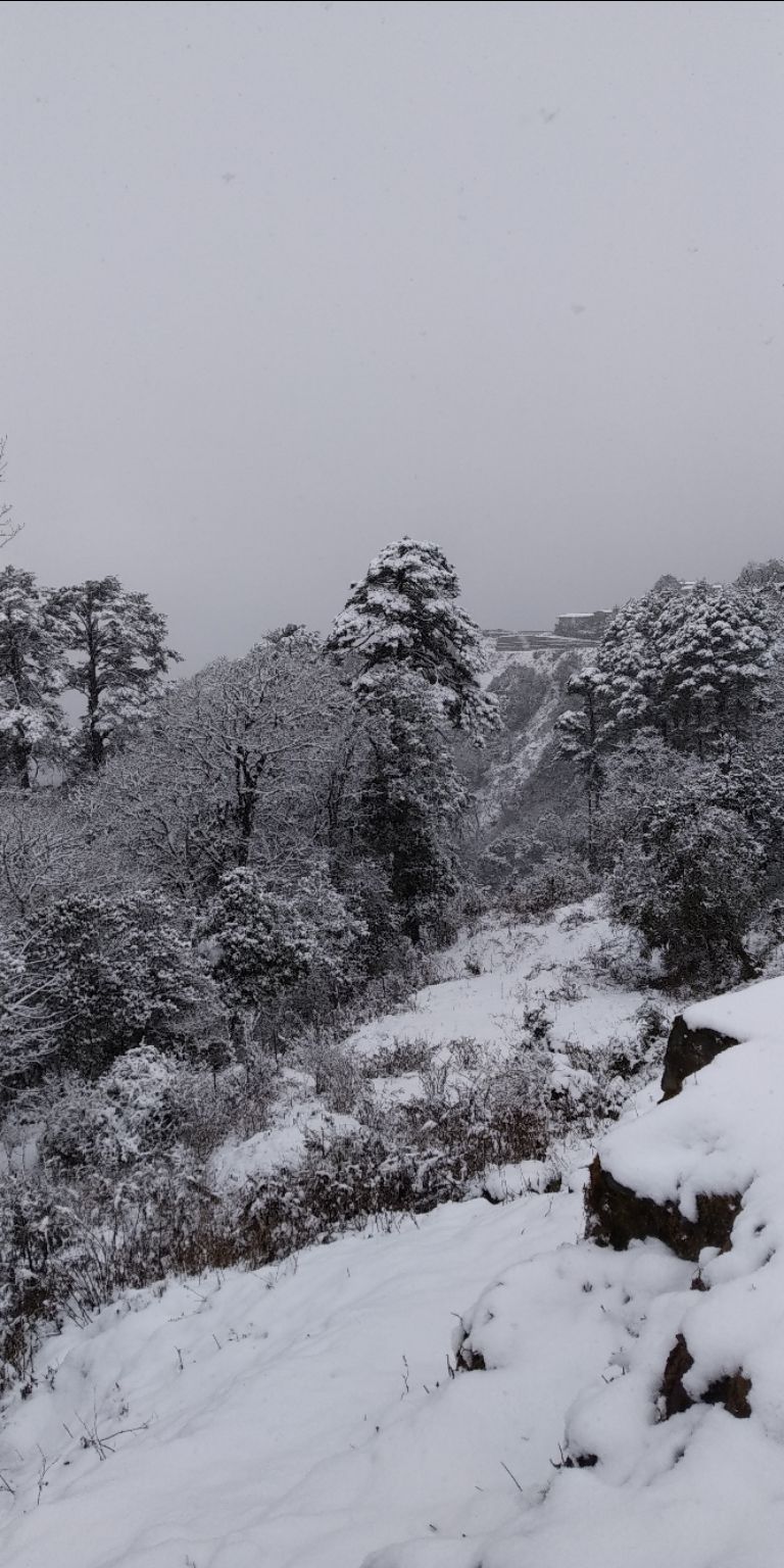 Photo of Taking the road less traveled: Bhutan by Akshay Shinde