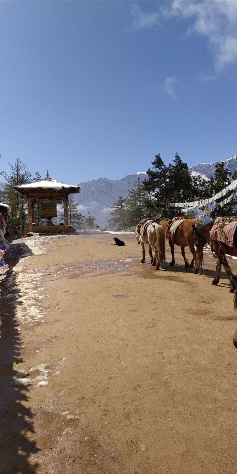Photo of Taking the road less traveled: Bhutan by Akshay Shinde
