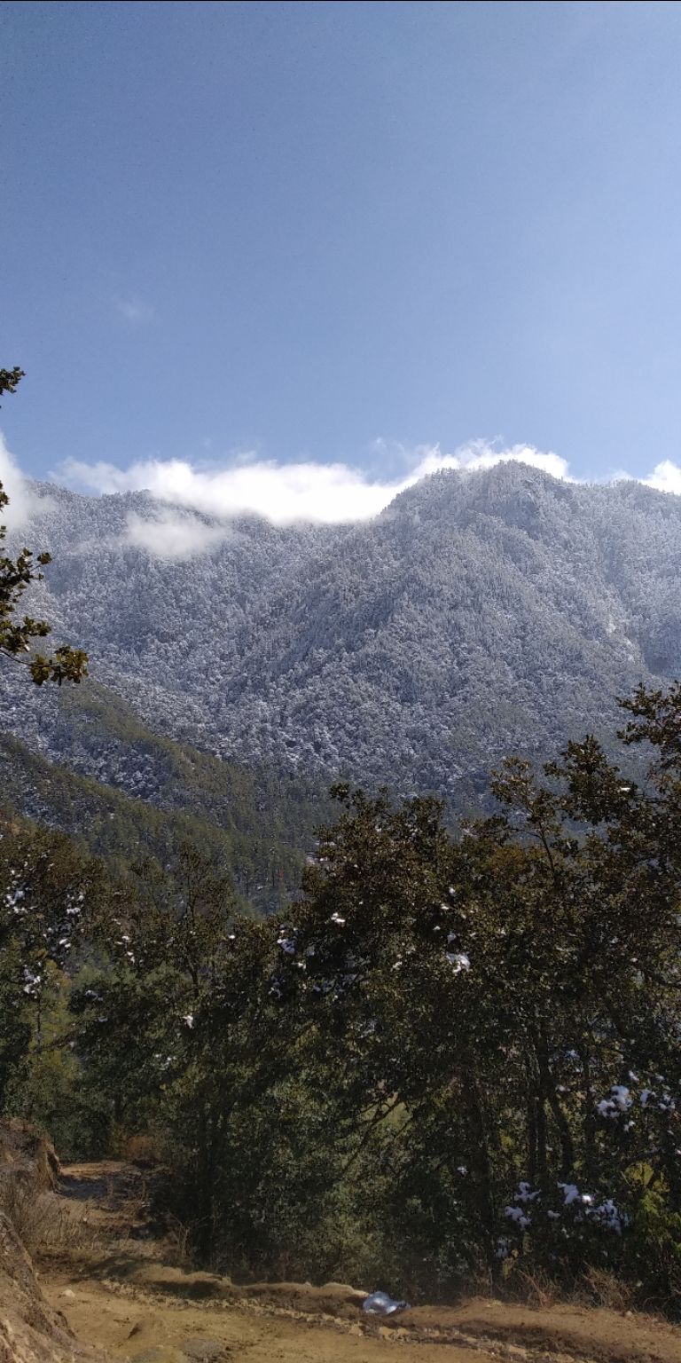 Photo of Taking the road less traveled: Bhutan by Akshay Shinde