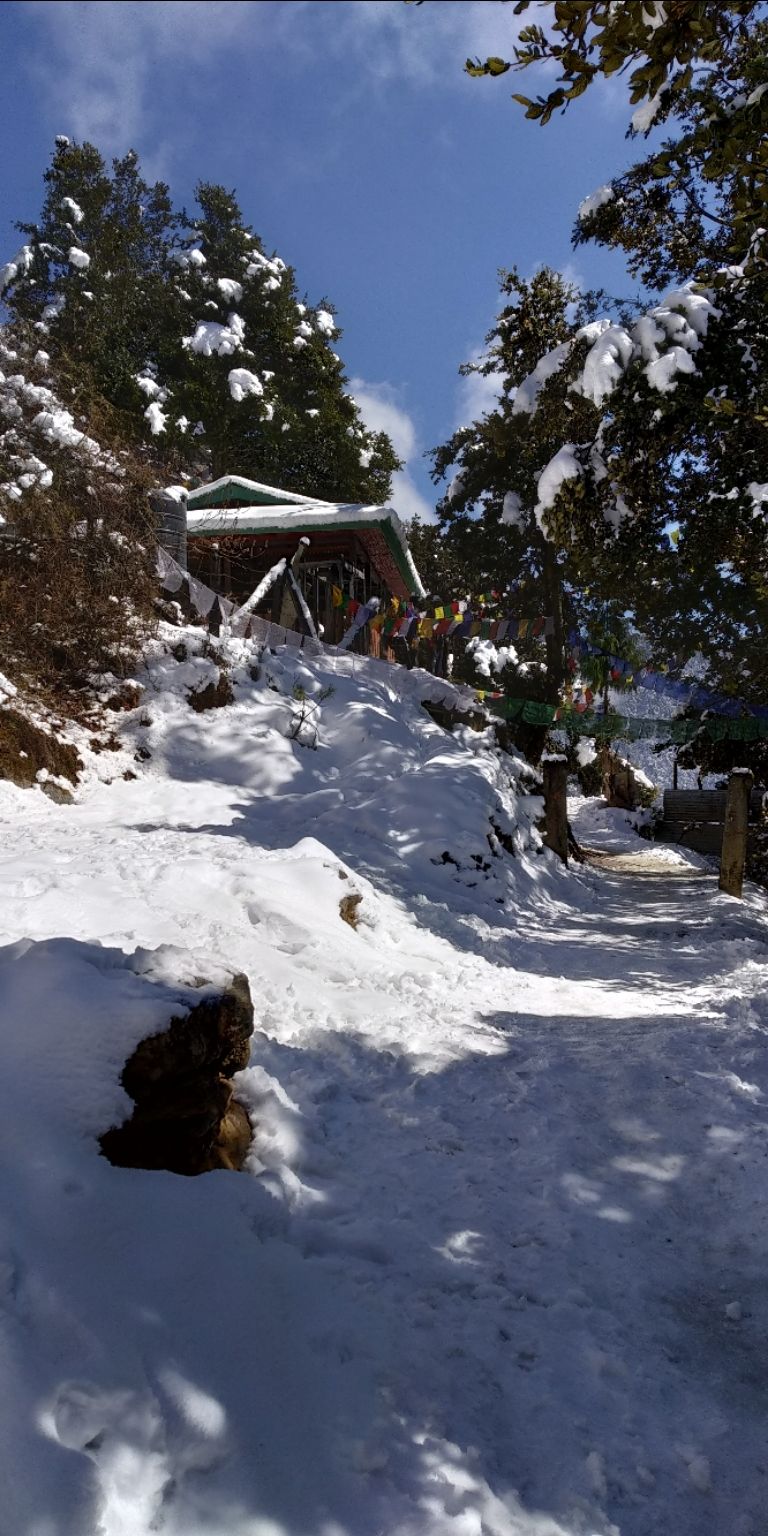 Photo of Taking the road less traveled: Bhutan by Akshay Shinde