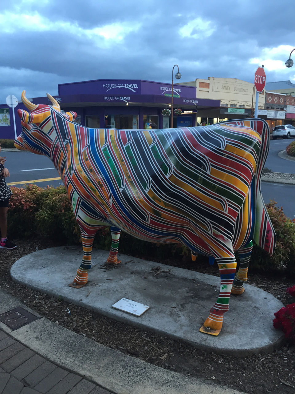Photo of Morrinsville by Meenakshi Sharma