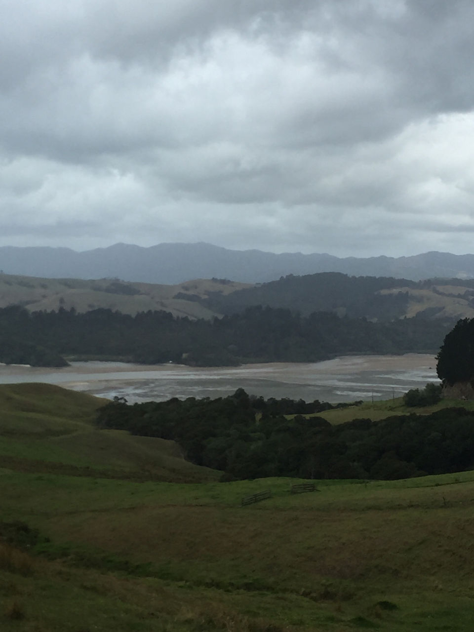 Photo of Manaia by Meenakshi Sharma