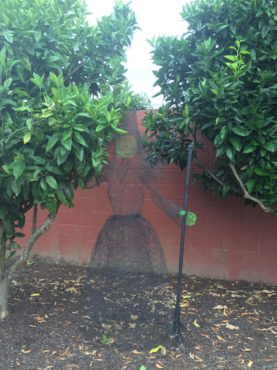 Photo of Hamilton by Meenakshi Sharma