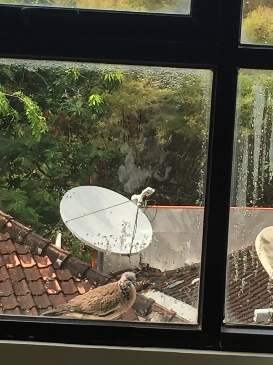 Photo of Citadines Kuta Beach Bali, Jalan Pantai Kuta, Legian, Badung Regency, Bali, Indonesia by Meenakshi Sharma