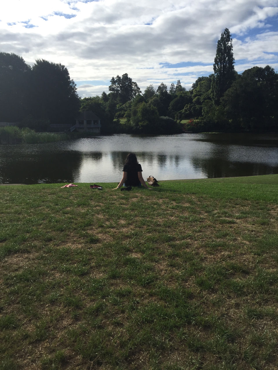 Photo of New Zealand...Beauty Matching Your Footsteps by Meenakshi Sharma