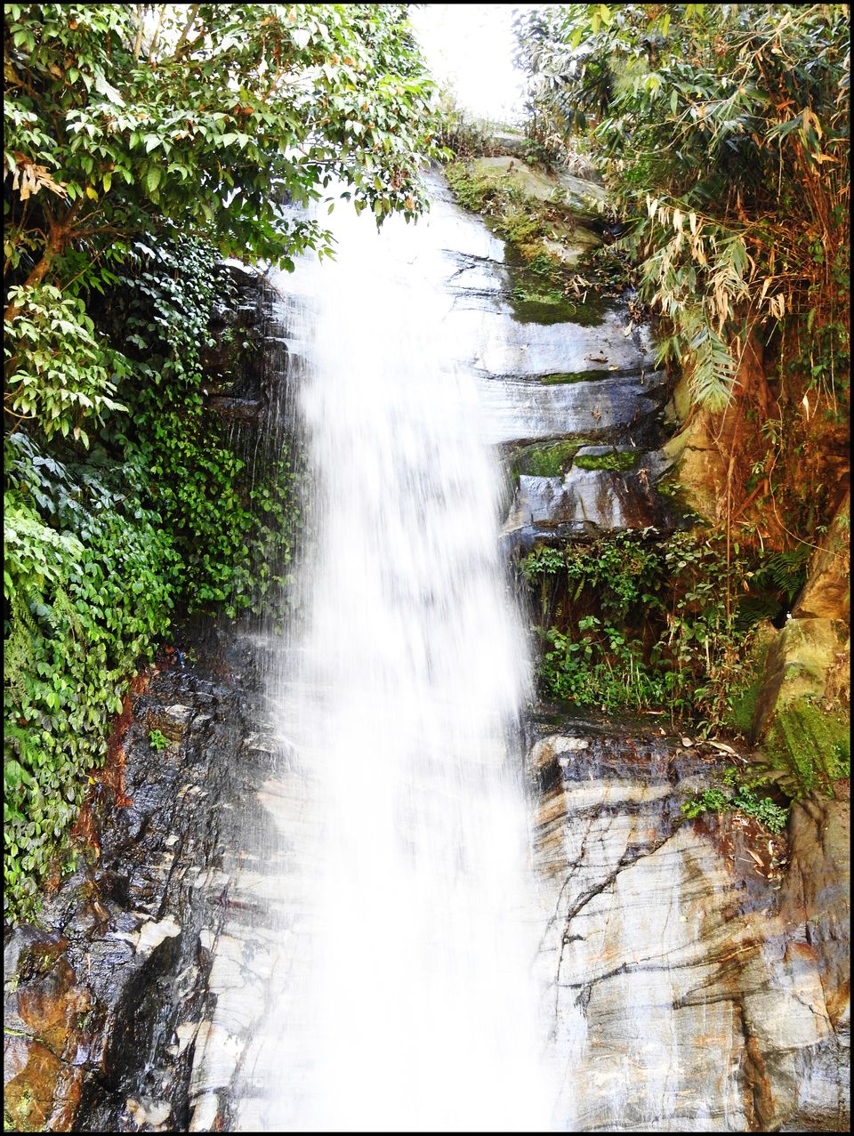 Photo of Sikkim, India by TLCF NICOLE